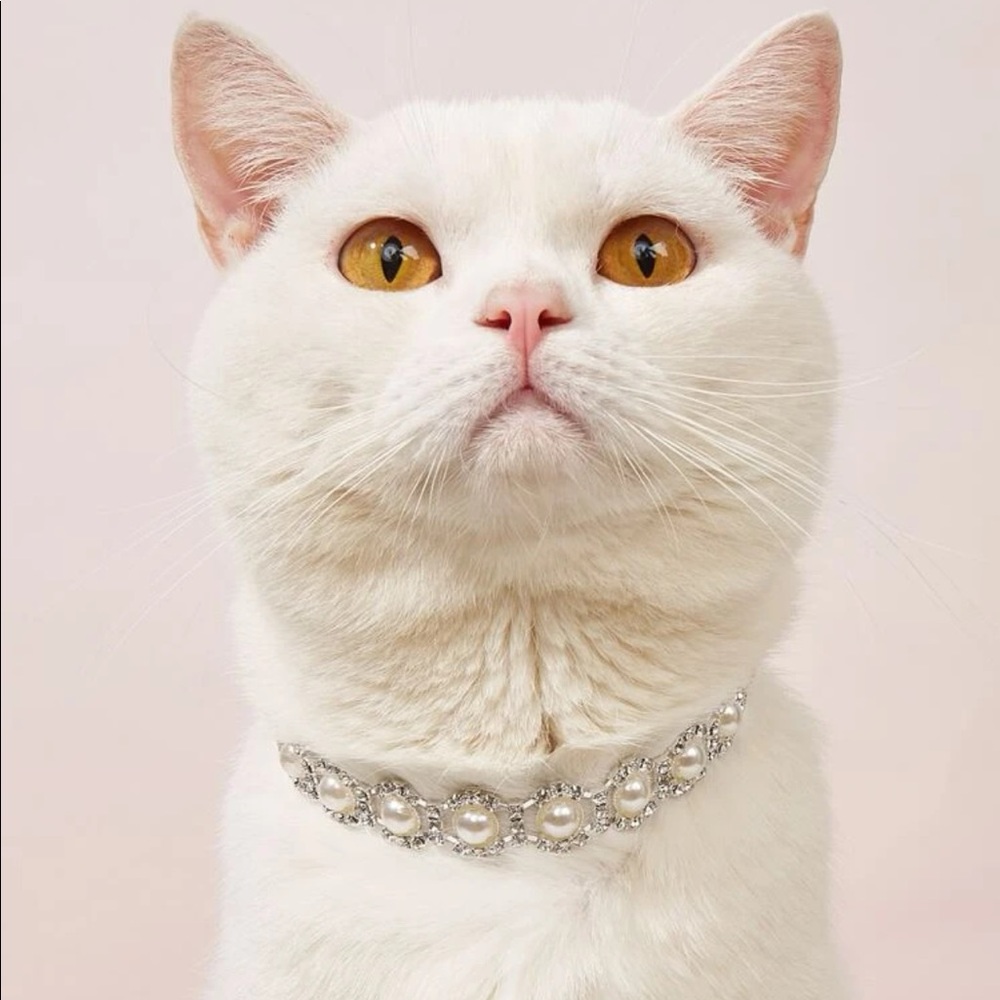 Rhinestone Decor Pet Necklace 🐈